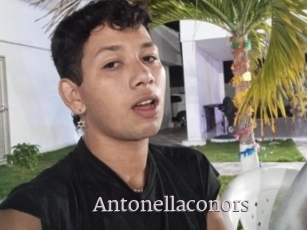 Antonellaconors