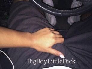 BigBoyLittleDick