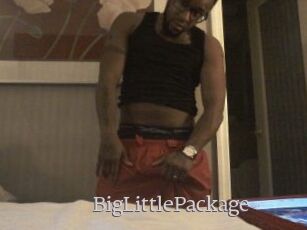 BigLittlePackage