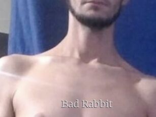 Bad_Rabbit