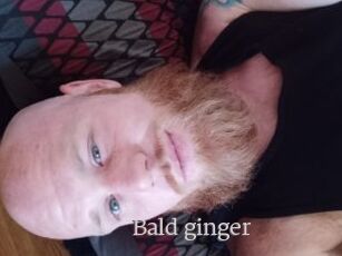 Bald_ginger