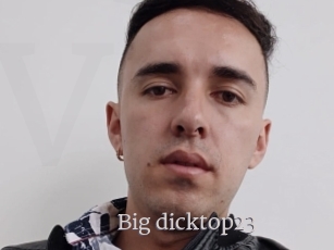 Big_dicktop23