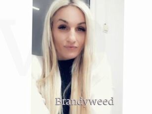 Brandyweed