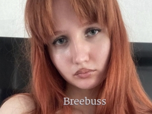 Breebuss