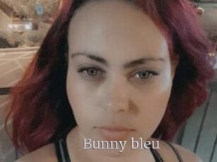 Bunny_bleu