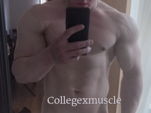 Collegexmuscle