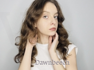 Dawnbeech