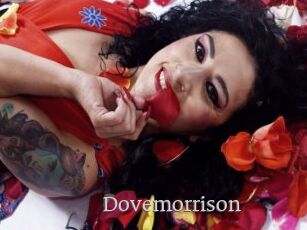 Dovemorrison