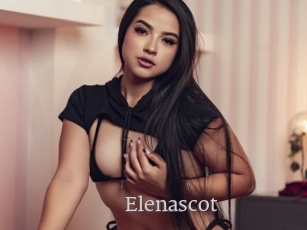 Elenascot