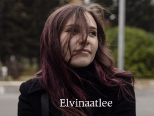 Elvinaatlee