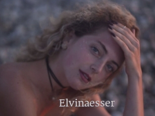 Elvinaesser