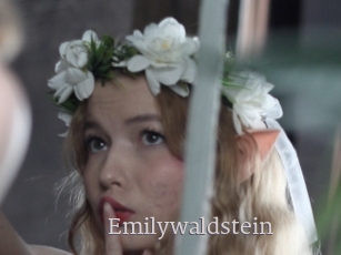 Emilywaldstein