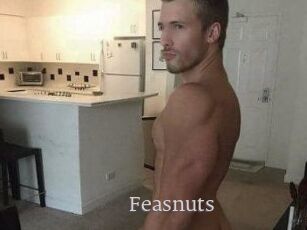 Feasnuts