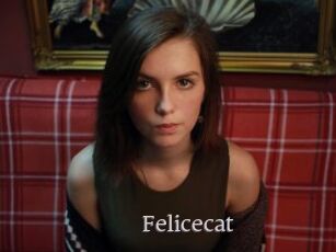 Felicecat