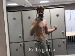 Fellixgarcia