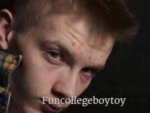 Funcollegeboytoy