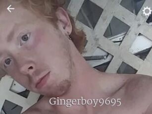 Gingerboy9695