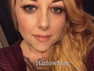 HarlowMae