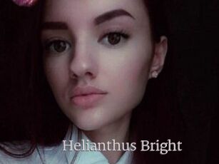 Helianthus_Bright