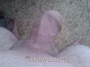 Hornydan1733