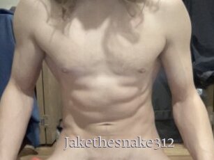 Jakethesnake312