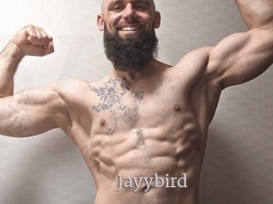 Jayybird