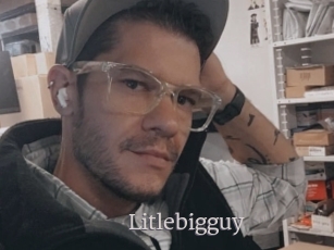 Litlebigguy