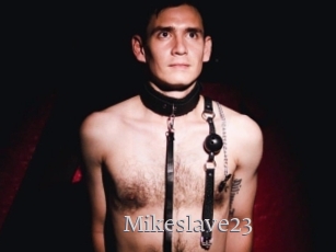 Mikeslave23