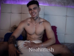 Noahmush