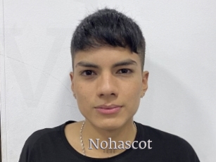 Nohascot