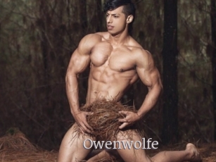 Owenwolfe