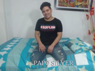 PAPO_SILVER