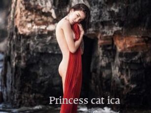 Princess_cat_ica