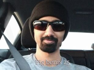 Pig_benis_25