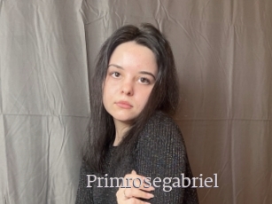 Primrosegabriel