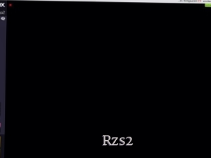 Rzs2