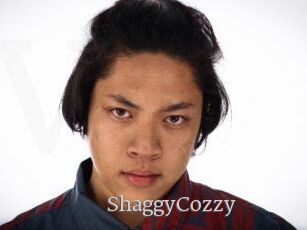 ShaggyCozzy