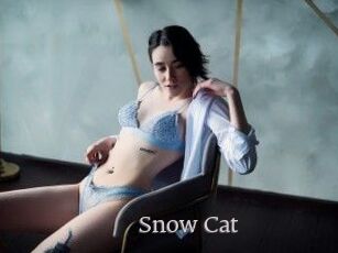 Snow_Cat