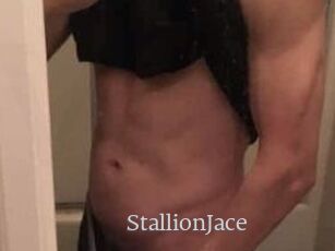 StallionJace