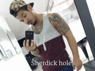 Sherdick_holes