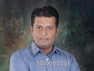 Siliboy7291