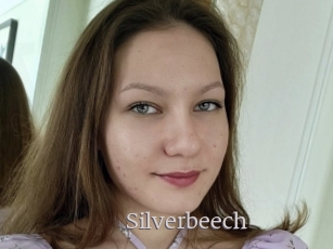 Silverbeech