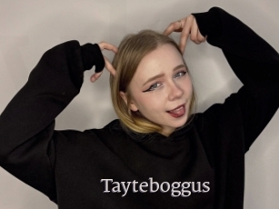 Tayteboggus