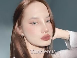 Thaivenus