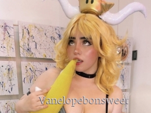 Vanelopebonsweet