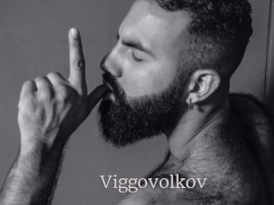 Viggovolkov