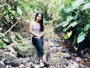 Wild_Rose18