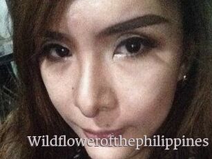 Wildflowerofthephilippines