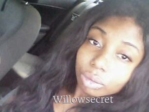 Willow_secret