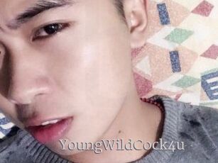 YoungWildCock4u